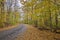 Country road with road signs and trees on both sides, King City, Ontario, Canada