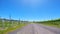 Country road through rows of young grape vines in McLaren Vale, South Australia.