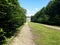 Country road running through tree alley in a beautiful summer day