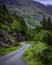 Country road in rural  Scotland ,UK