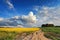 Country road in spring colza fields