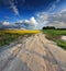 Country road in spring colza fields