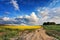 Country road in spring colza fields