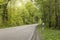 Country road through spring forest