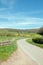 Country road in the summertime in the British countryside.