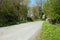 Country road in the summertime in the British countryside.