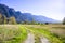 Country road to a mountainous rocky ridge in a meadow lane with grass and spring trees in Columbia Gorge