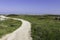 Country road to the sea between sea dunes covered with green grass and flowers. Mediterranean coast