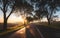 Country road with trees and morning sun at sunrise time near Pannonhalma, Hungary