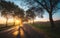 Country road with trees and morning sun at sunrise time near Pannonhalma, Hungary