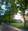 Country Road with trees and sun glare