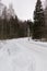 Country road turn in snowy winter forest