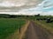 A country road between two farm fields in Ireland in summer. A herd of cows grazing on a green farm pasture. Rustic landscape,