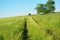 Country road. Village, track. Beautiful landscape