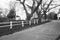 Country Road, White Wooden Rail Fence, Church Building