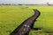 A country road winding through the golden rice fields in Ilan Taiwan