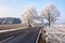 Country road in a winter landscape with frosted trees