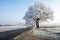 Country road in a winter landscape with frosted trees