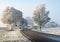 Country road in a winter landscape with frosted trees