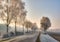 Country road in a winter landscape with frosted trees