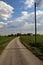 Country road with a wooden electricty pylons next to fields in the italian countryside in spring