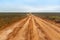 Country sandy road through the flat semidesert fields