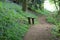 A Country Seat In Bluebell Woods, Somerset, UK