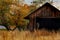 A Country Shed in Autumn