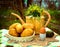 country stiled outdoor still life with watering can potato avocado egg on the green garden background