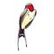 Country swallow or swift in vintage style. Decor element for a natural motive or wildlife. Spring bird with long plumage