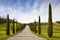 Country Tuscany road with cypress trees