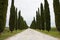 Country Tuscany road with cypresses