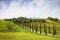 Country Tuscany road with cypresses