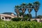 Country villa and palm trees