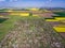 Country village surrounded by crop fields in the spring