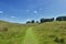 Country walk, path in a valley landscape