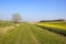 Country walking in yorkshire