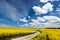 Country way on spring field of yellow flowers, rape. Blue sunny sky