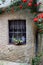 Country window whit iron bars and climbing red roses outside