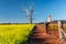 Country woman basking in the spring sunshine looking out over the fields of canola