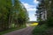 Countryroad with yellow rapefields