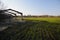 Countryside agricultural landscape. Abandoned greenhouse carcass in field of spring crop with blue sky