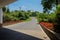 Countryside asphalt road on woody hillside in sunny summer