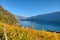 Countryside autumn landscape with vineyards in Swiss Alps. Switzerland, Europe