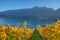Countryside autumn landscape with vineyards in Swiss Alps. Switzerland, Europe
