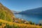 Countryside autumn landscape with vineyards in Swiss Alps. Switzerland, Europe