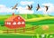 Countryside, birds flying, farmland green hills