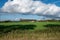 Countryside Bliss: Expansive Fields under Cumulus Clouds