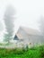 Countryside church in fog