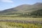 Countryside in Dingle Peninsula